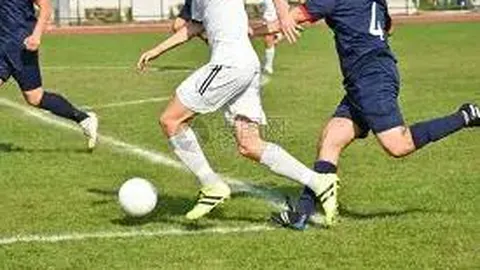 pa真人 资讯 101519 gmo