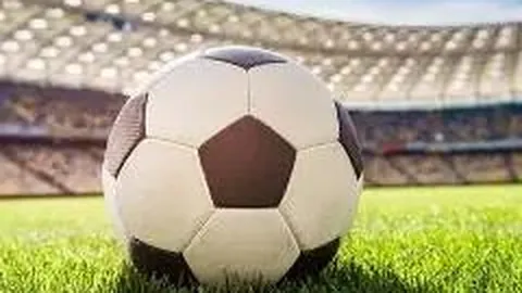 pa真人 资讯 101315 yca