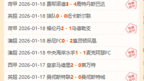 “篮球巅峰对决：灰熊激战马刺，19胜12精彩回顾！”